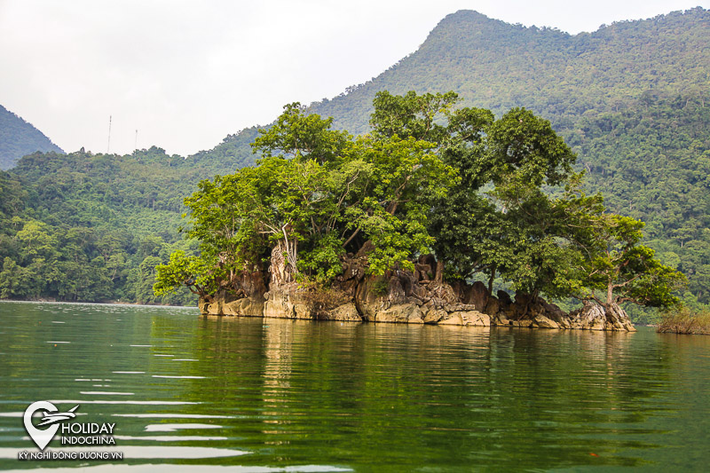 Đảo Bà Góa .