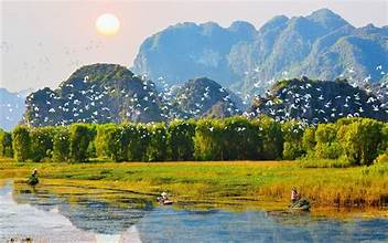 Get lost in the bird forest with pristine beauty in Thung Nham - Ninh Binh