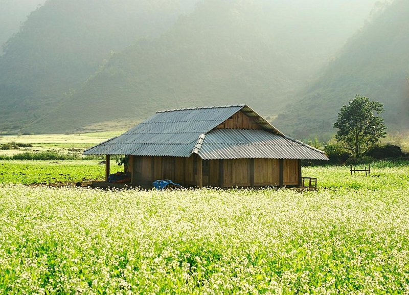 童强村