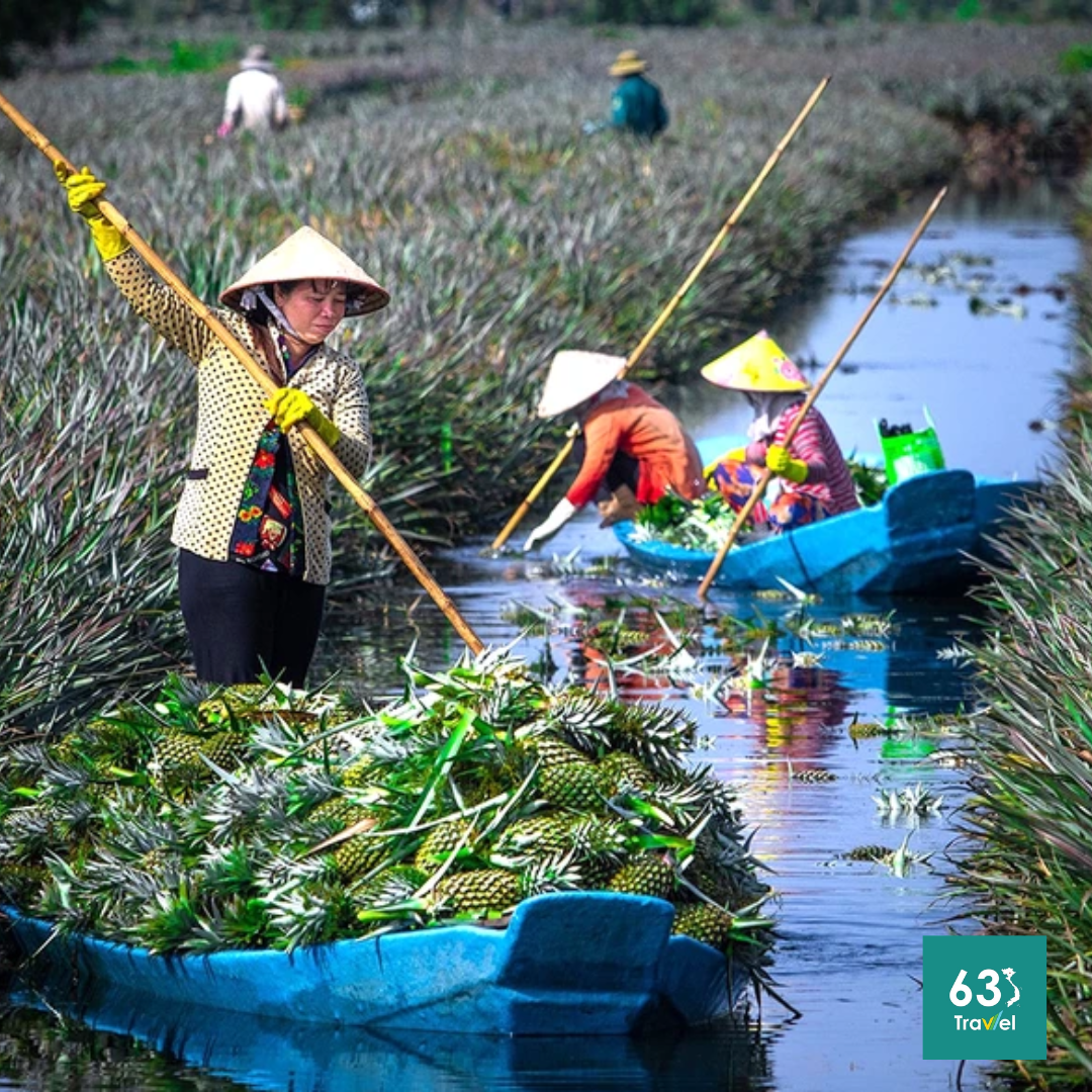 Làng du lịch cộng đồng Cánh Đồng Khóm Cầu Đúc - Hậu Giang