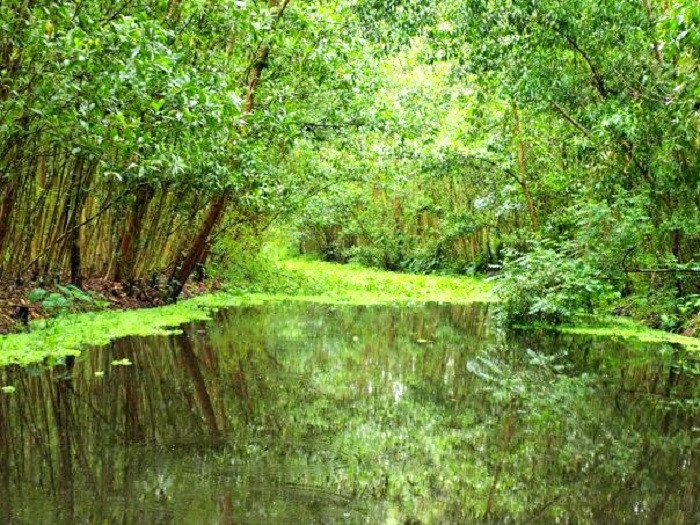 Lung Ngoc Hoang Nature Reserve