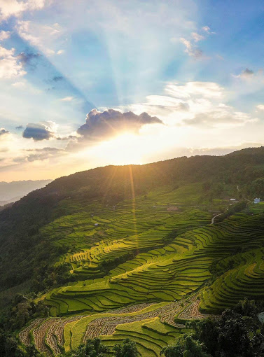 The beauty of Hong Thai terraced fields at dawn.