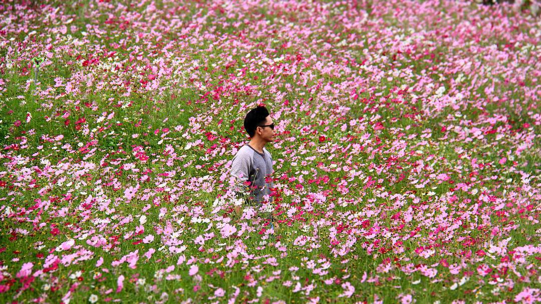 Mộc Châu Happy Land.