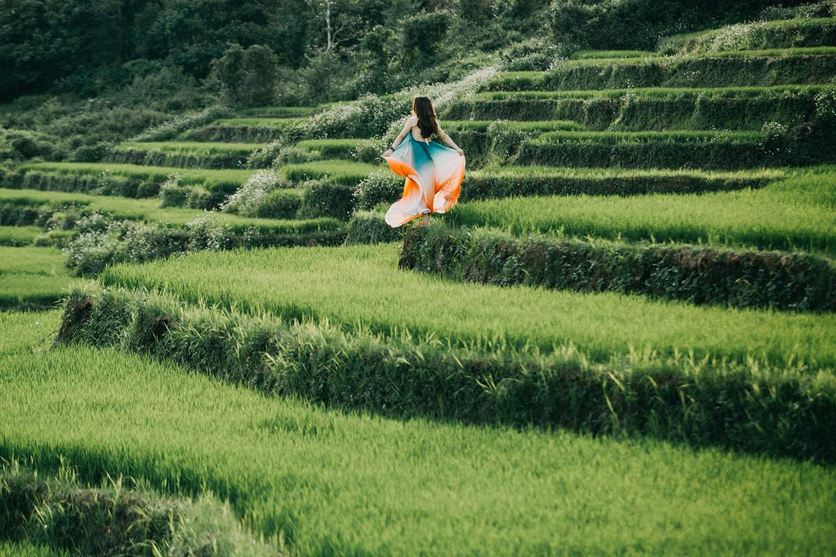 Ruộng bậc thang Đak Tơ Pê