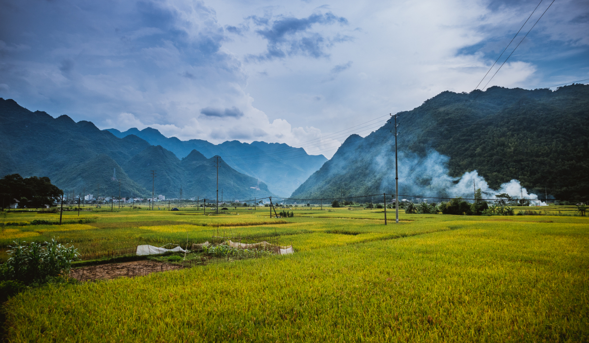 麦洲——诗意的土地