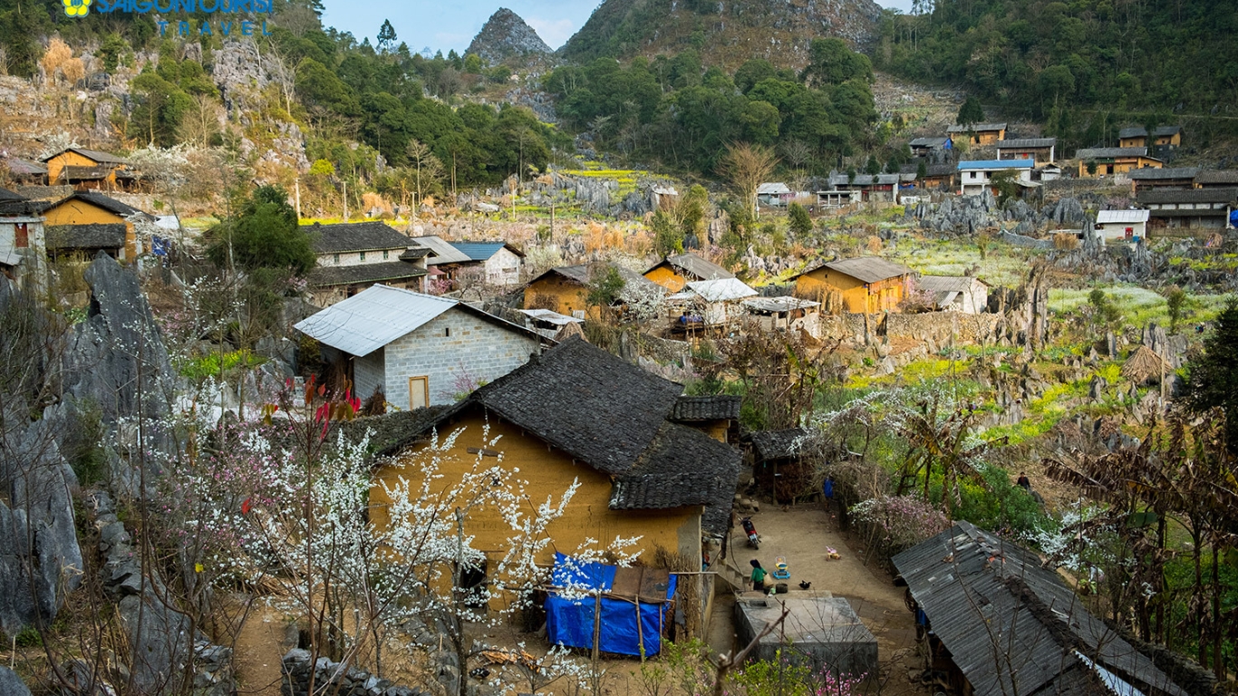 A Cultural Odyssey in Dong Van: Traditions, Landscapes, and Local Delights