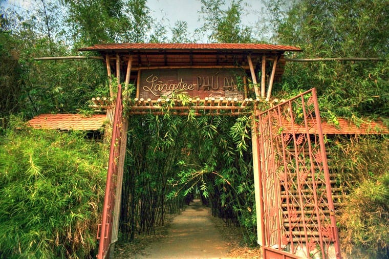 Phu An Bamboo Village - the largest natural bamboo reserve near Saigon