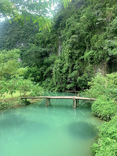 同林草原