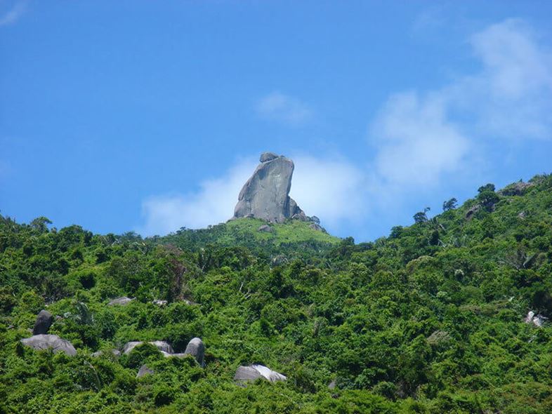 从大比亚山 (Da Bia Mountain) 到 Nhat Tu Son，穿越富安 (Phu Yen) 的美丽目的地