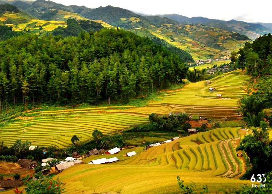 Ngắm phong cảnh hữu tình ở Mai  Châu vào tháng 11