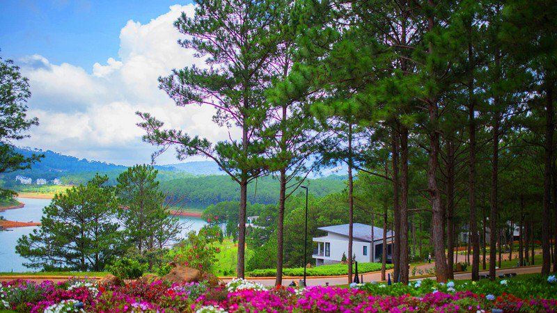 Da Lat Thousand Flowers