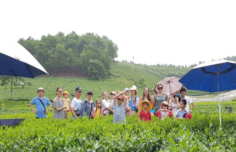 Tan Cuong tea hill