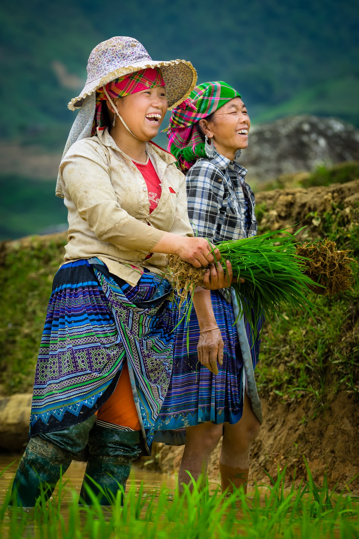 Mu Cang Chai