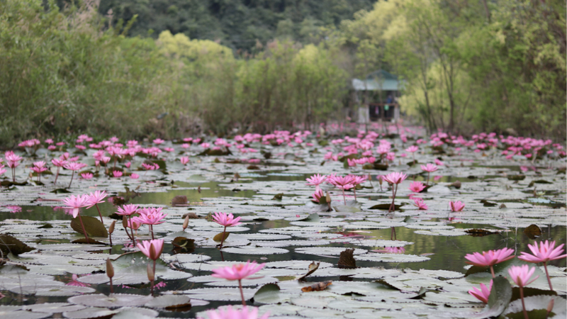 香水塔。