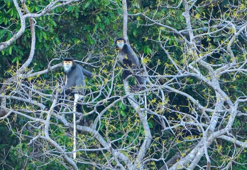 Nui Chua National Park