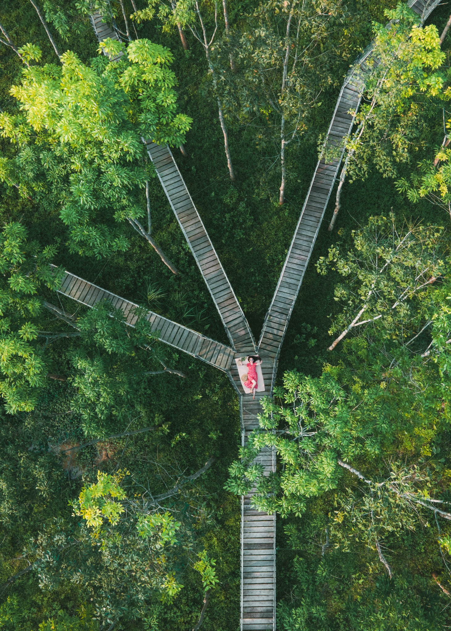 Blue Diamond Camp eco-tourism area