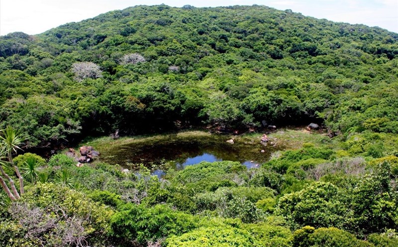 Ecosystem in Chu Yang Sin National Park