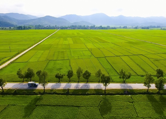 孟青田地。