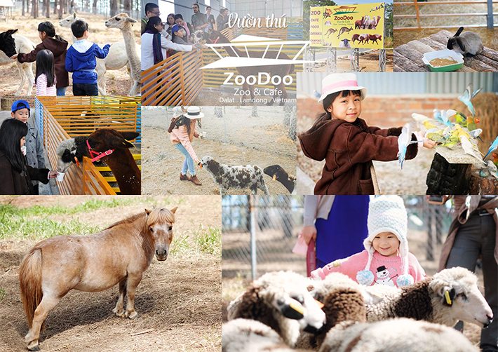 Vườn thú ZooDoo