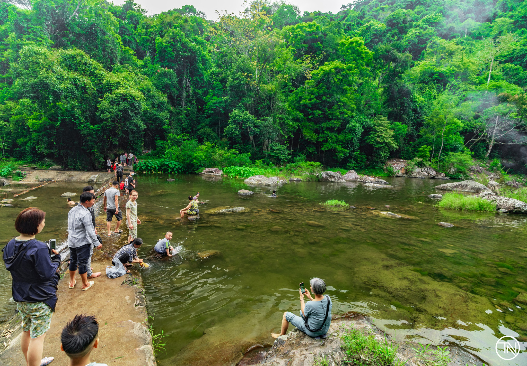 Khe Ro primeval forest