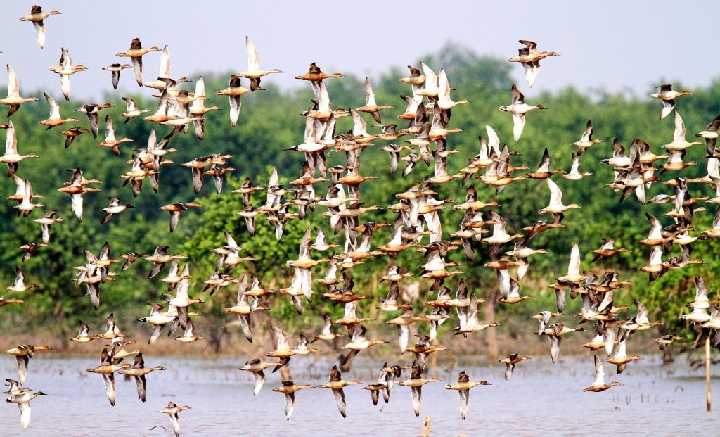 Xuan Thuy National Park