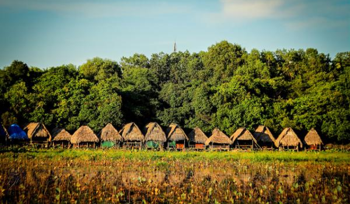 Trằm Trà Lộc