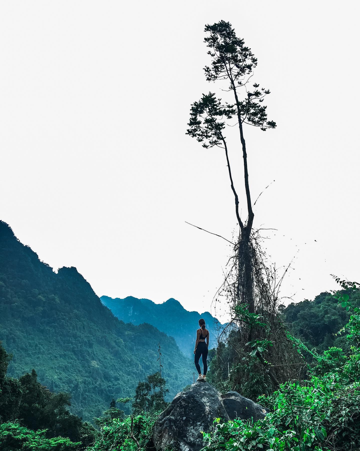 峰牙植物园