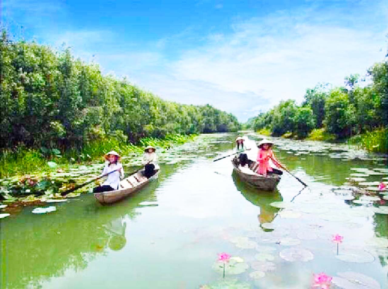 River cruise at Lang Sen Wetland Reserve