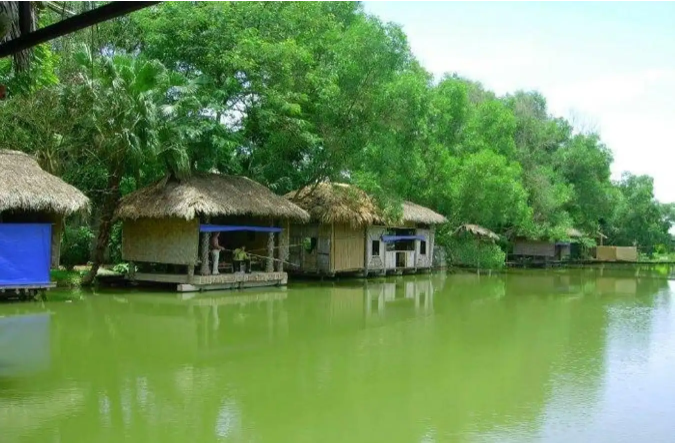 Co Xanh eco-tourism area