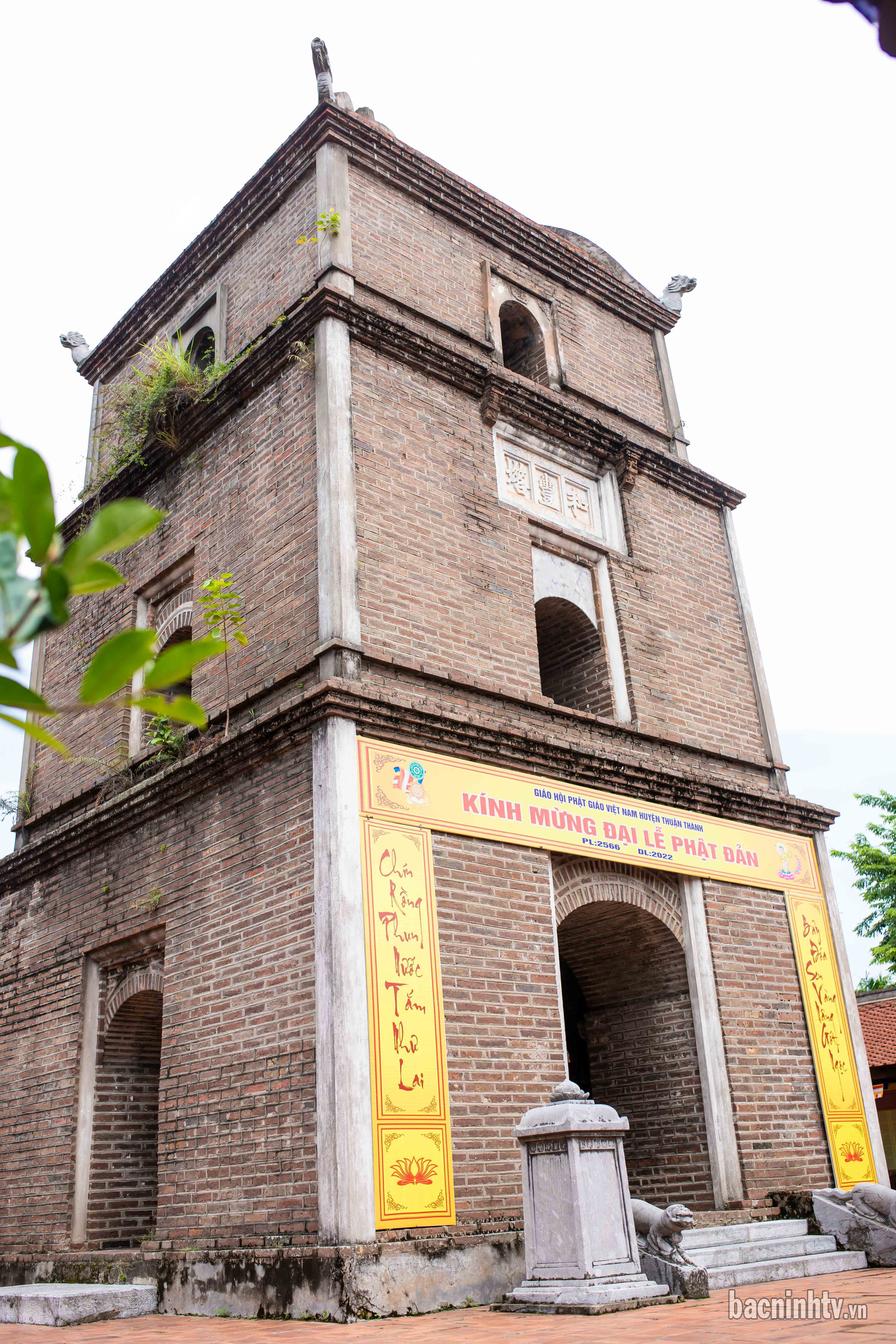 Dau Pagoda