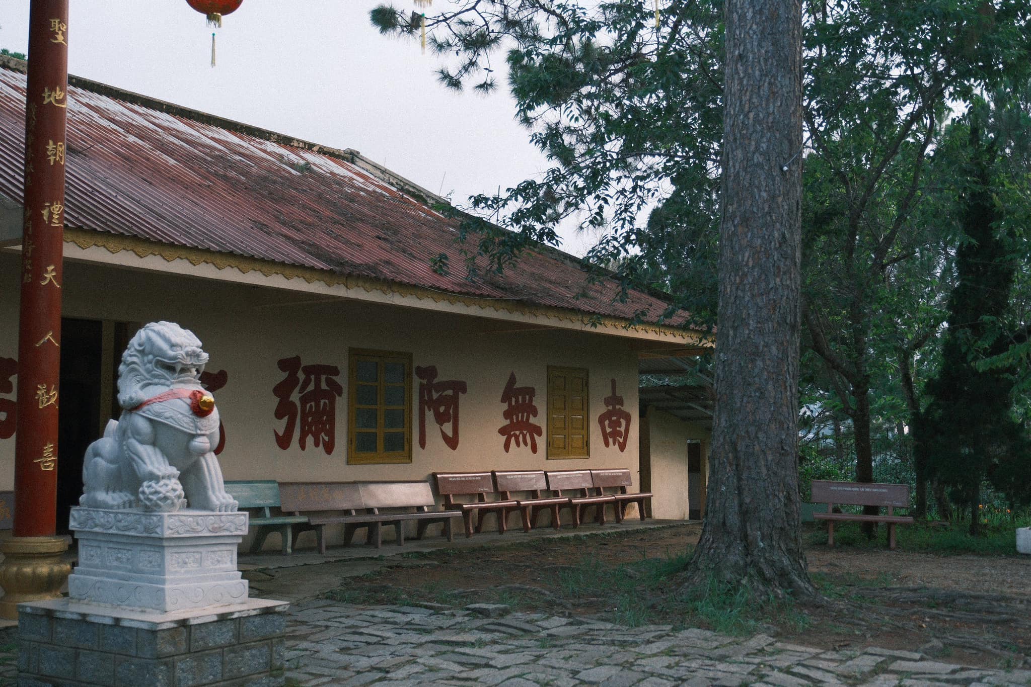 Discover Thien Vuong Co Sat Pagoda with its Distinct Chinese Style