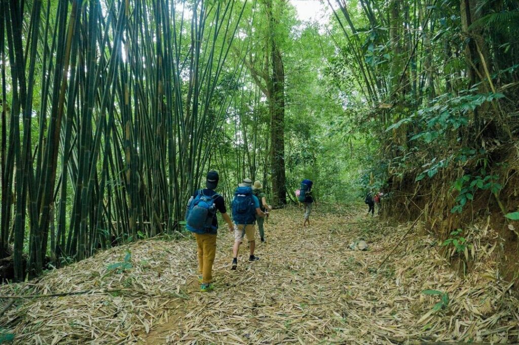 Trekking Bù Gia Mập: Trải Nghiệm Độc Đáo Giữa Rừng Núi Hùng Vĩ