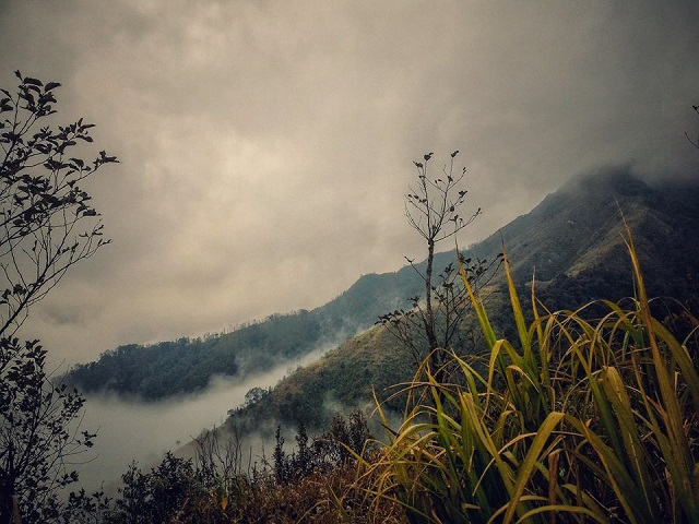 普寺龙峰