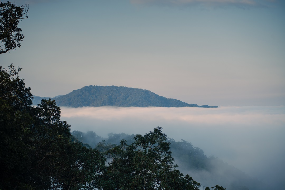 Que Peak - The breath of the mountains and forests