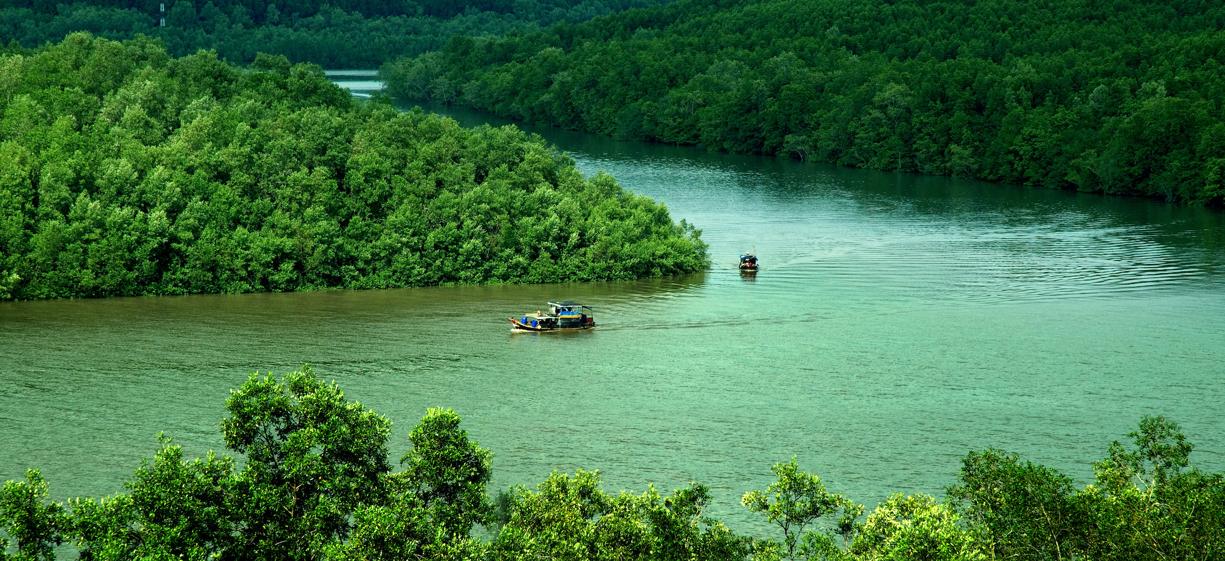 Tinh Hoa Ẩm Thực Cần Giờ: Khám Phá Văn Hóa và Đặc Sản Độc Đáo của Miền Đất Hoang Sơ