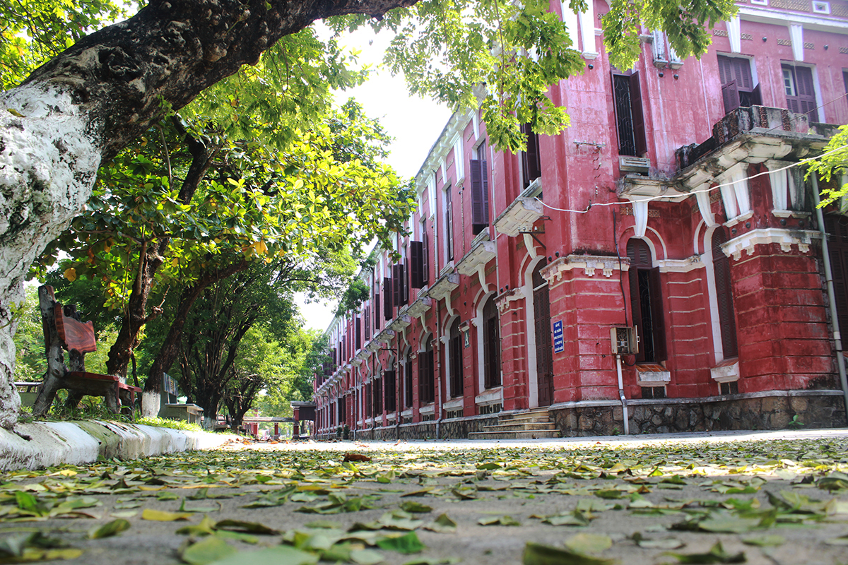 Hue Quoc Hoc School