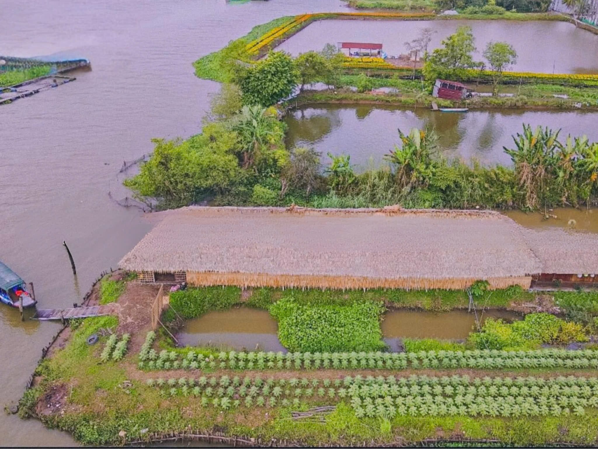 This place is covered by a natural ecosystem with many fruit trees, fields, rivers,... with a strong rural character.