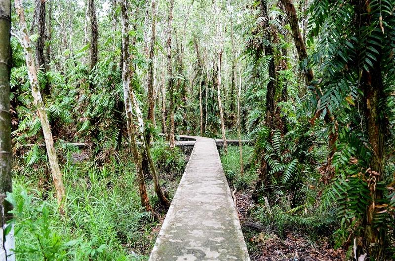 旅游区总面积约110公顷（含千层林区）。除了多样的生态系统外，这里还拥有大片原始的原始森林