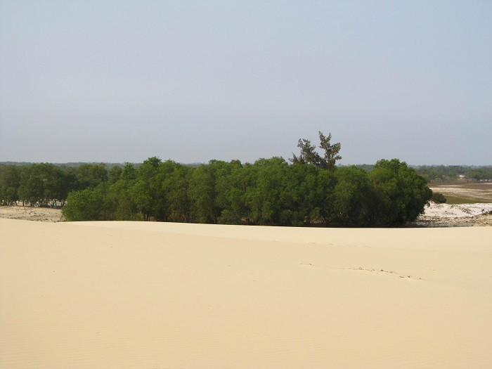 The best time to come to Nhi Hanh sand hill is probably at dawn or sunset.