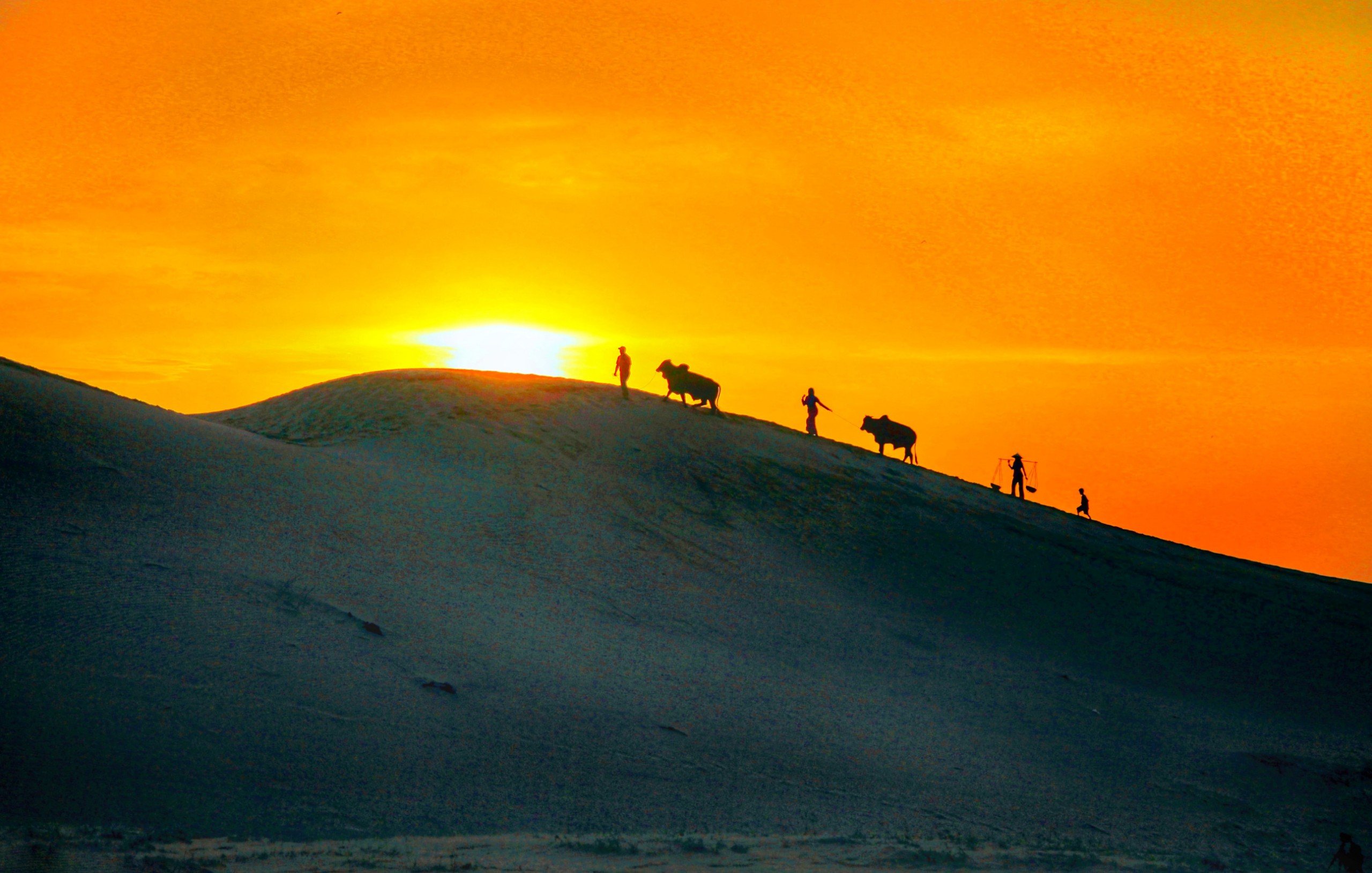 Nam Cuong sand dunes