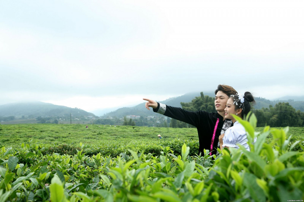 情侣选择新渊茶山拍摄终生照片