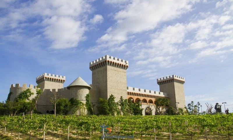 RD Wine Castle