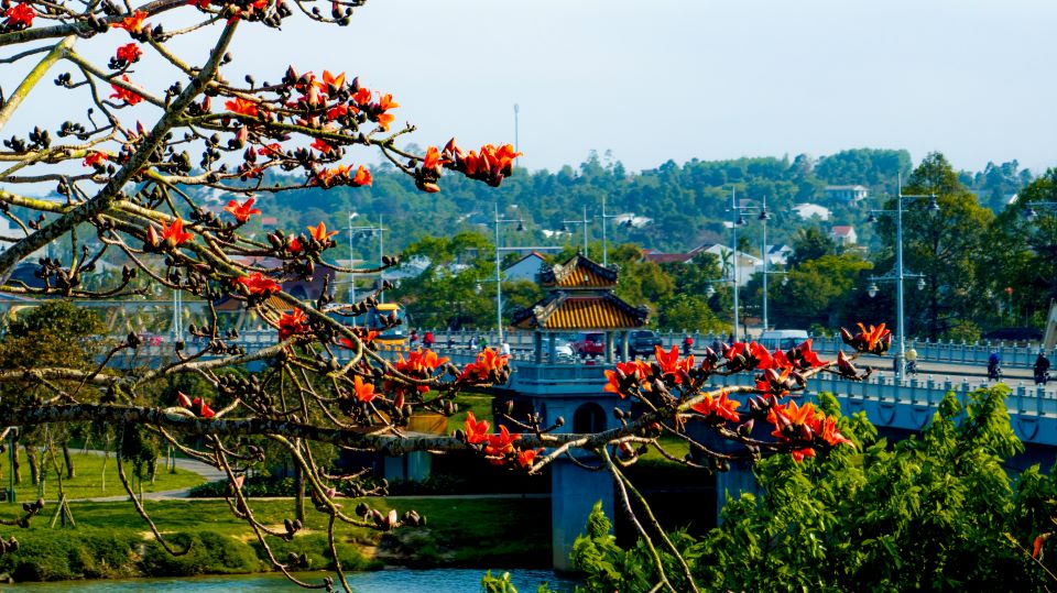 Walking around Hue streets, watching rice flowers bloom in March