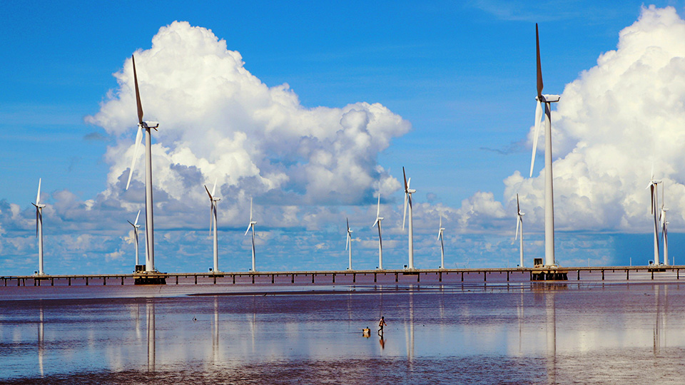 Bac Lieu wind turbine field