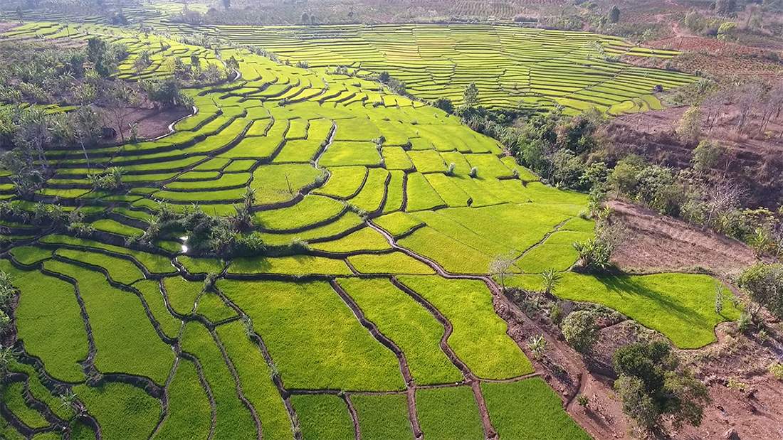 Ruộng bậc thang Đak Tơ Pê