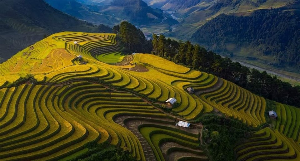 Mu Cang Chai