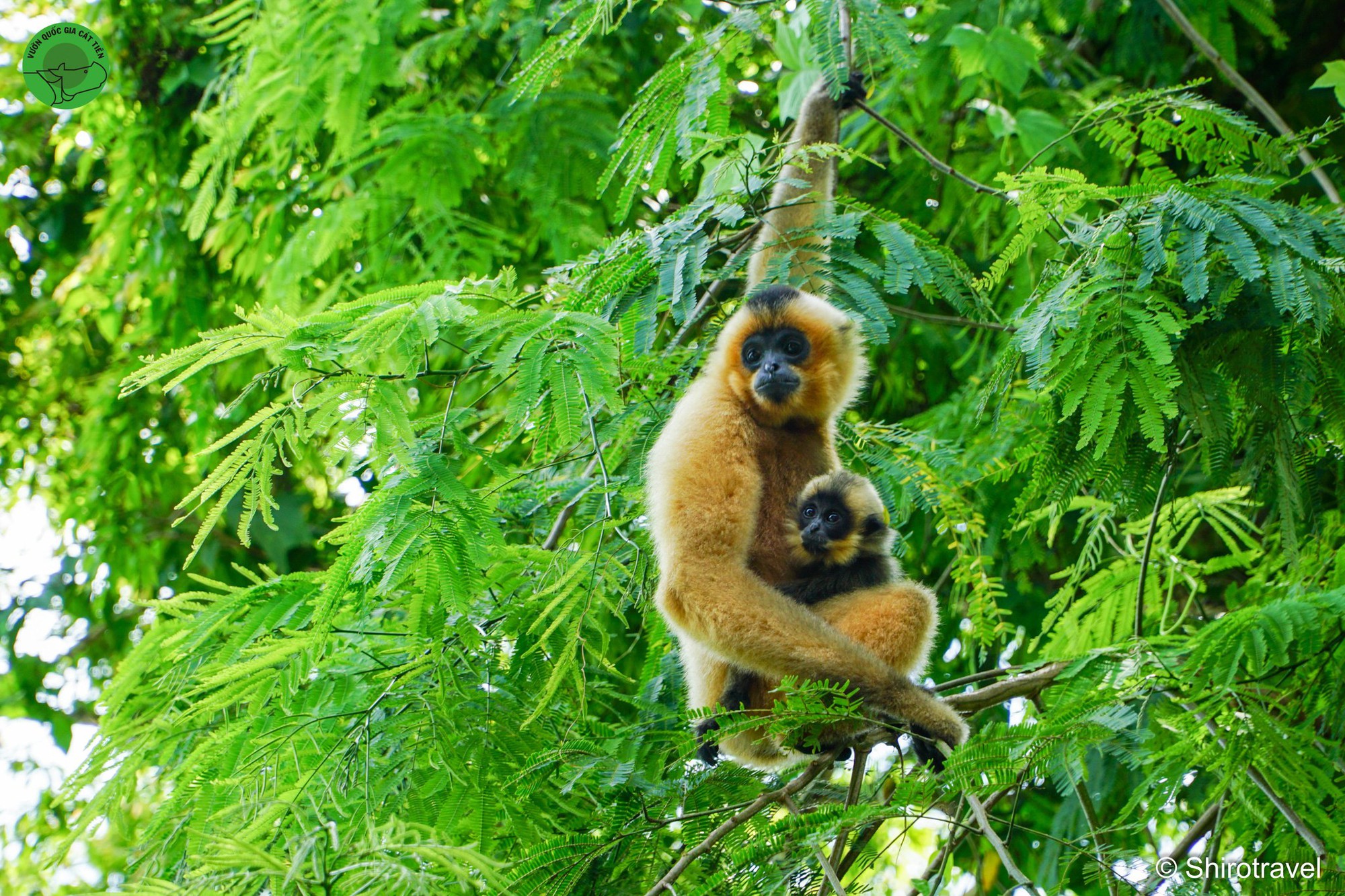 Cat Tien National Park