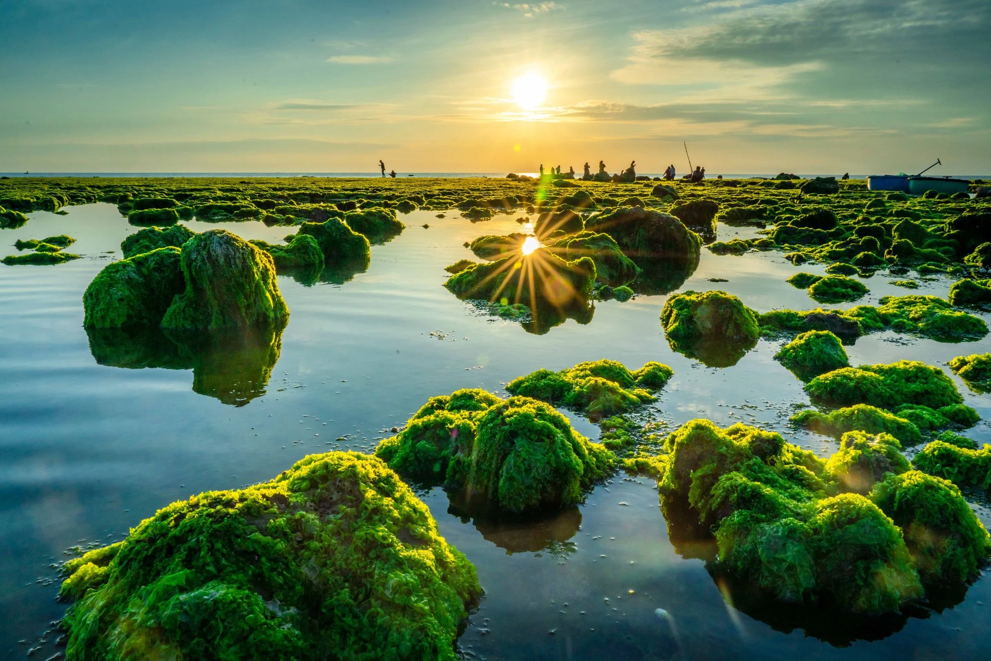 Green moss beach in Tu Thien village