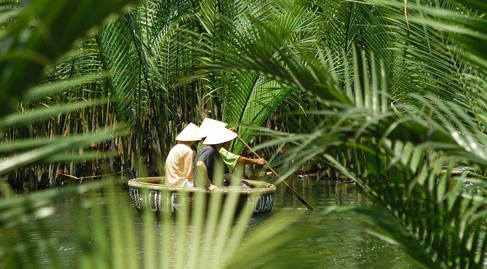 Seven-acre coconut forest