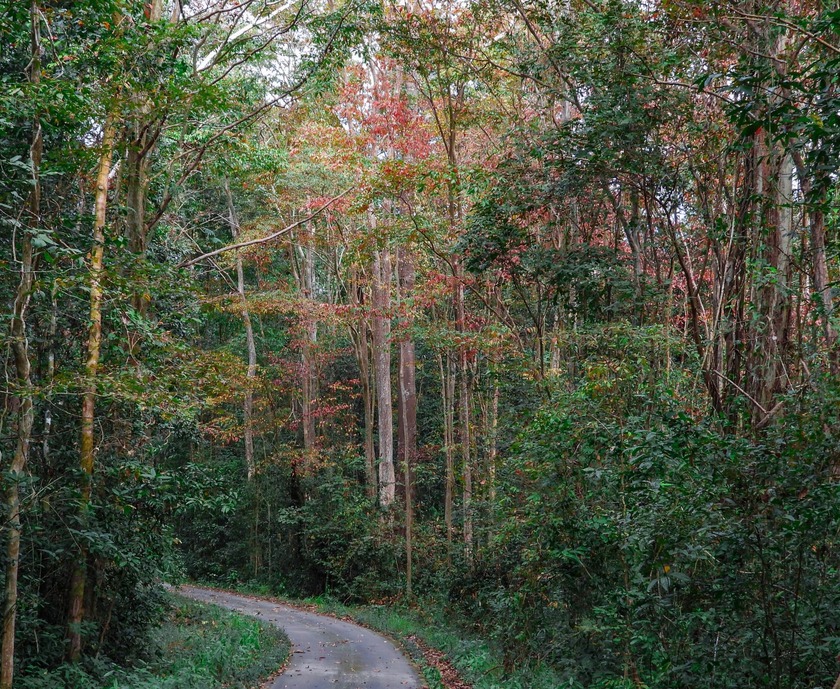 Cat Tien National Park